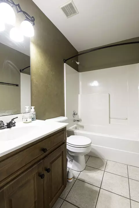 Bath - 1344 Springview Dr, Chattanooga, TN 37421 photo 2 of 4