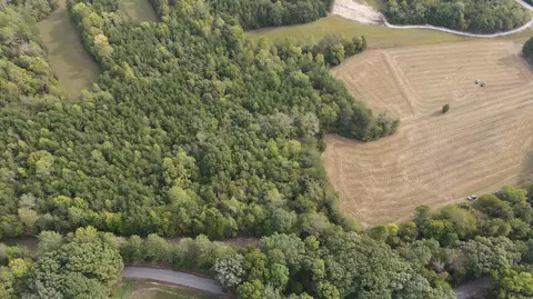 0 Black Oak Rd, Sale Creek, TN 37373