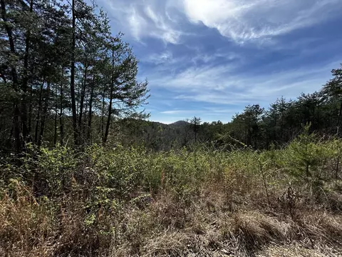 Tract 2 Owl Hollow Road Sw, Mc Donald, TN 37353