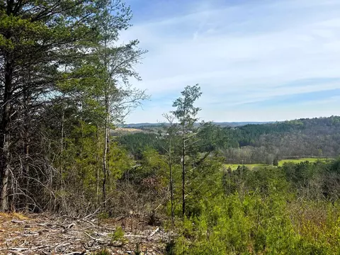 Tract 6 Owl Hollow Road Sw, Mc Donald, TN 37353