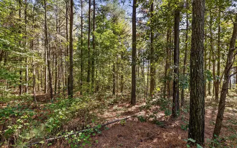 lot2004 Stardust Ct, Guild, TN 37340 photo 15