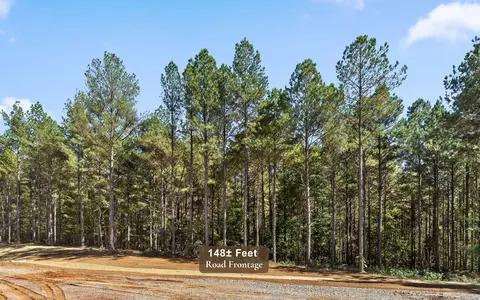 lot2004 Stardust Ct, Guild, TN 37340 photo 14