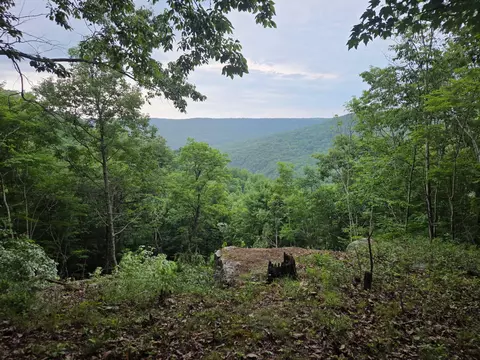 465 Cross Creek Trl, South Pittsburg, TN 37380