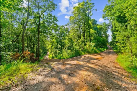lot4 Firetower Rd, Jasper, GA 30143 photo 5
