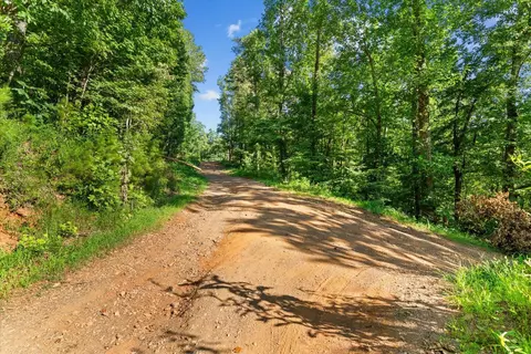 lot4 Firetower Rd, Jasper, GA 30143 photo 6