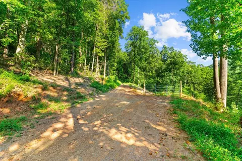 lot4 Firetower Rd, Jasper, GA 30143 photo 7