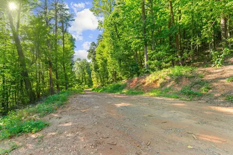 lot4 Firetower Rd, Jasper, GA 30143 photo 3