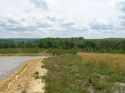 47 Pineview Rd #47, Dunlap, TN 37327 photo 3