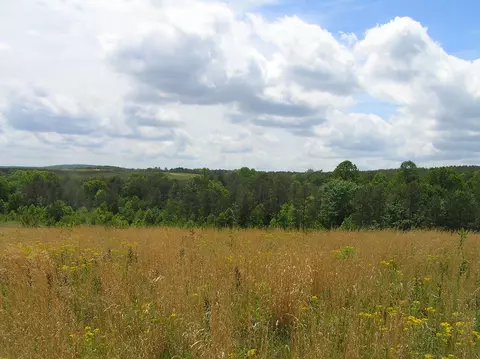 47 Pineview Rd #47, Dunlap, TN 37327 photo 7