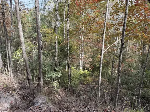 11 Echo Point Rd, Dunlap, TN 37327 photo 3