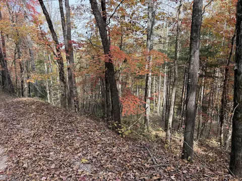 11 Echo Point Rd, Dunlap, TN 37327 photo 6