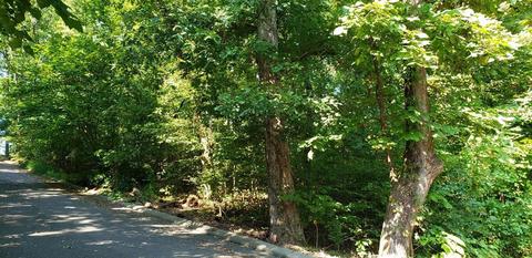 1 Shady Oaks Cv, Dunlap, TN 37327