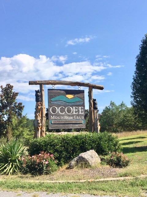 311 Mountain View Cir, Ocoee, TN 37361 photo 8