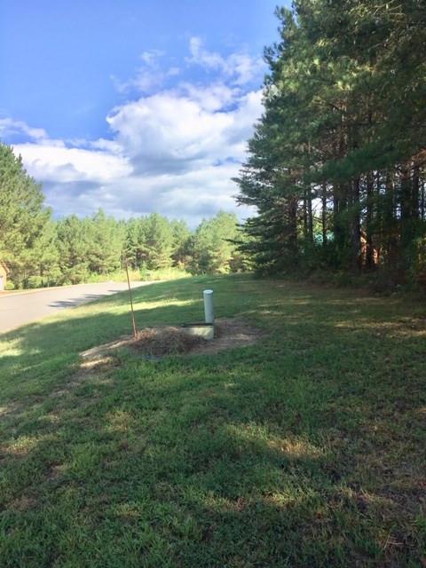 311 Mountain View Cir, Ocoee, TN 37361 photo 3