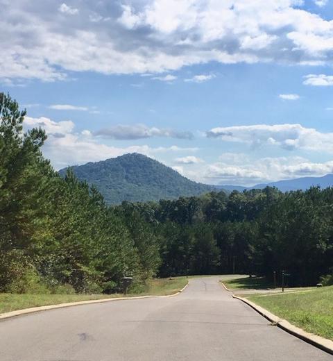 311 Mountain View Cir, Ocoee, TN 37361 photo 5