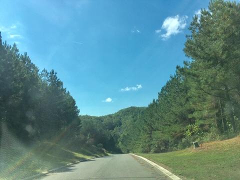 311 Mountain View Cir, Ocoee, TN 37361 photo 7