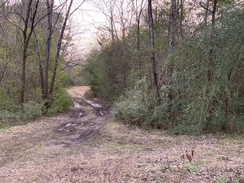 9280 Hooper Holw, Harrison, TN 37341 photo 1