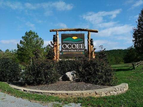 114 Casson Rd, Ocoee, TN 37361 photo 1