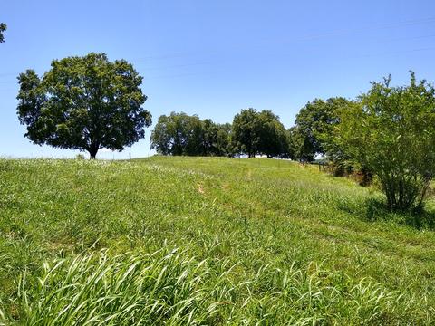 465 Copeland Rd, Ocoee, TN 37361 photo 21