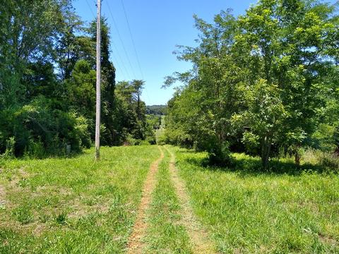 465 Copeland Rd, Ocoee, TN 37361 photo 22