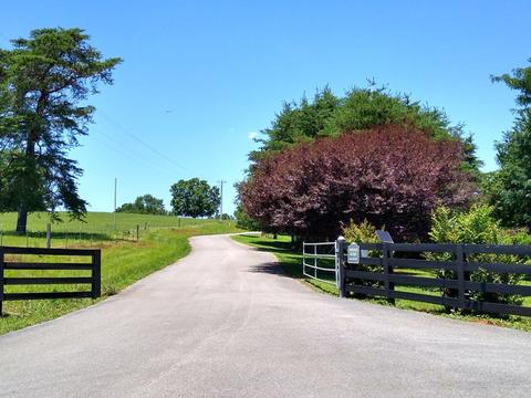 465 Copeland Rd, Ocoee, TN 37361 photo 4