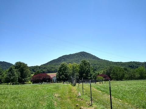 465 Copeland Rd, Ocoee, TN 37361 photo 45