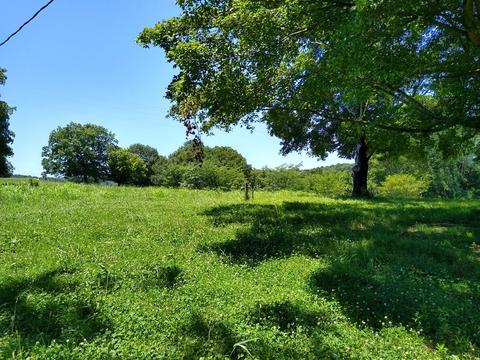 465 Copeland Rd, Ocoee, TN 37361 photo 48