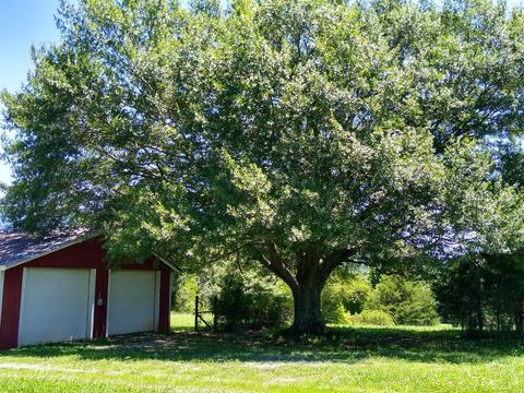 465 Copeland Rd, Ocoee, TN 37361 photo 13