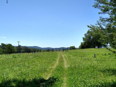 465 Copeland Rd, Ocoee, TN 37361 photo 18