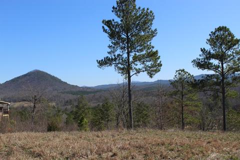 140 Bob White Rd, Ocoee, TN 37361 photo 8