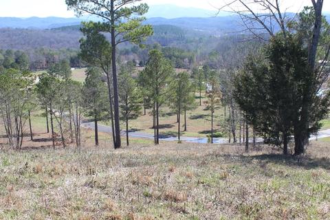 140 Bob White Rd, Ocoee, TN 37361 photo 9