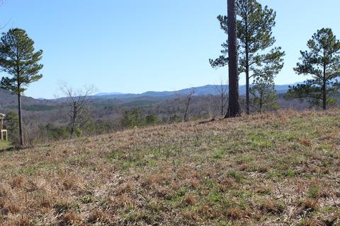 140 Bob White Rd, Ocoee, TN 37361 photo 6