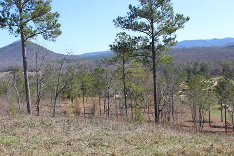 140 Bob White Rd, Ocoee, TN 37361 photo 10