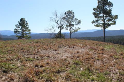 140 Bob White Rd, Ocoee, TN 37361 photo 5