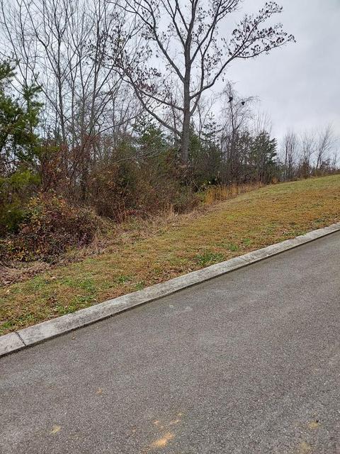 275 Bob White Rd, Ocoee, TN 37361 photo 4