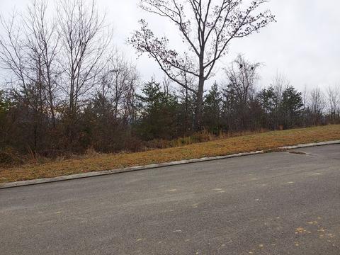 275 Bob White Rd, Ocoee, TN 37361 photo 5