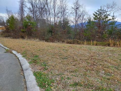 275 Bob White Rd, Ocoee, TN 37361 photo 6