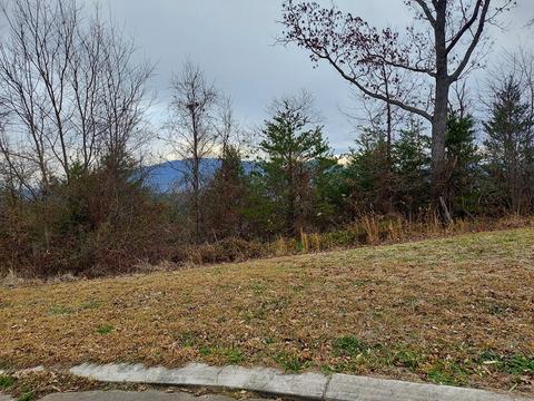 275 Bob White Rd, Ocoee, TN 37361 photo 3
