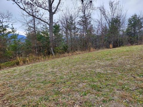 275 Bob White Rd, Ocoee, TN 37361 photo 2