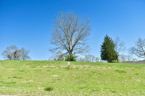 1632 Eagle Point Dr, Loudon, TN 37774 photo 1