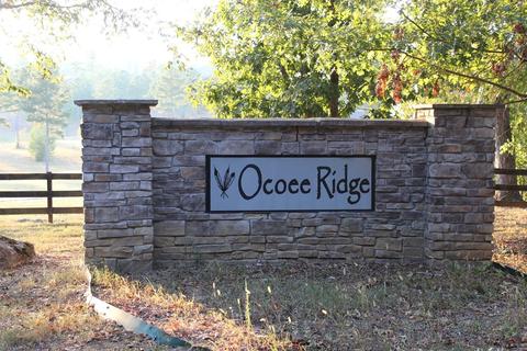 106 Bob White Rd, Ocoee, TN 37361 photo 2