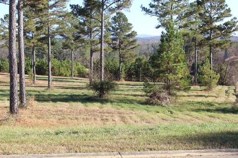 141 Bob White Dr, Ocoee, TN 37361 photo 9