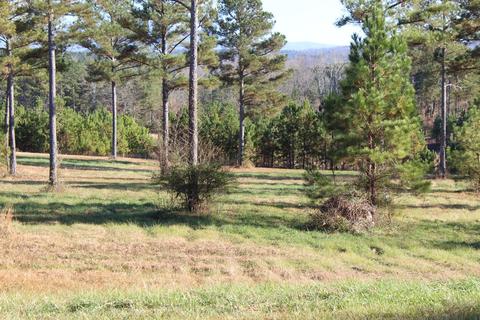 141 Bob White Dr, Ocoee, TN 37361 photo 10