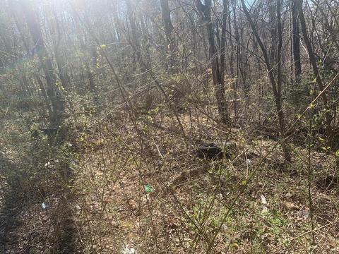 lot62 63 Black Oak Estates Rd, Dayton, TN 37321