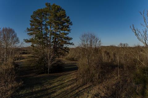 4451 Window Clf, Baxter, TN 38544 photo 17