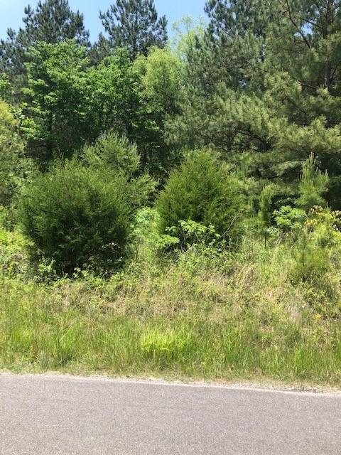 147 Casson Rd, Ocoee, TN 37361 photo 5