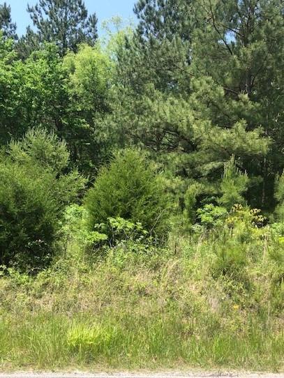 147 Casson Rd, Ocoee, TN 37361 photo 6