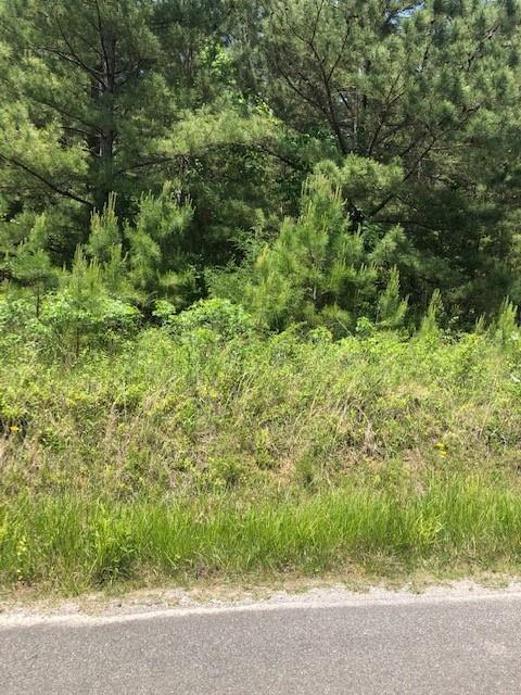 147 Casson Rd, Ocoee, TN 37361 photo 7