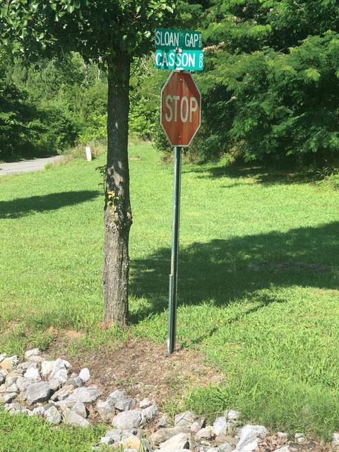 147 Casson Rd, Ocoee, TN 37361 photo 2