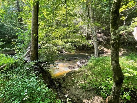 1115 Nydeck Trl, Robbins, TN 37852 photo 37